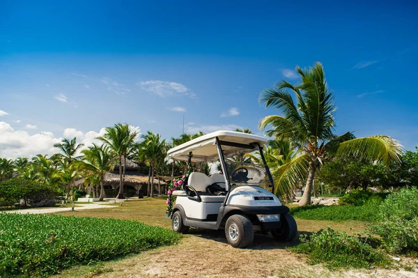 Palm Tropical Beach Tropical Paradise Summertime Holiday Dominican Republic Seychelles — Stock Photo, Image