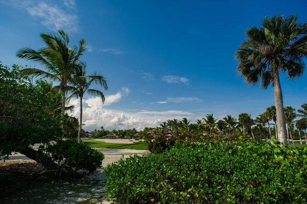 Palm Spiaggia Tropicale Nel Paradiso Tropicale Vacanza Estiva Repubblica Dominicana — Foto Stock