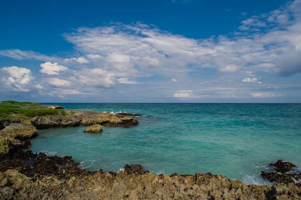 Palma Playa Tropical Tropical Paradise Vacaciones Verano República Dominicana Seychelles —  Fotos de Stock
