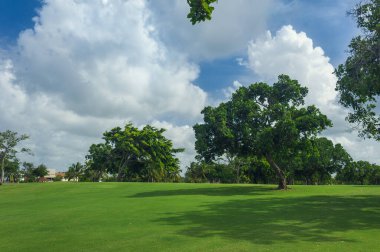 Tropik cennet. Dominik Cumhuriyeti, Seyşeller, Karayipler, Mauritius, Filipinler, Bahamalar. Yeşil bir tropikal orman. Tropikal parktaki yol. Tropikal Cennet 'te golf sahası. Dominik Cumhuriyeti 'nde yaz bayramı