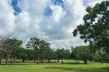 Tropik cennet. Dominik Cumhuriyeti, Seyşeller, Karayipler, Mauritius, Filipinler, Bahamalar. Yeşil bir tropikal orman. Tropikal parktaki yol. Tropikal Cennet 'te golf sahası. Dominik Cumhuriyeti 'nde yaz bayramı