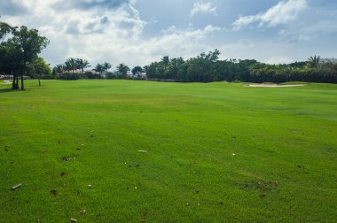 Tropik cennet. Dominik Cumhuriyeti, Seyşeller, Karayipler, Mauritius, Filipinler, Bahamalar. Yeşil bir tropikal orman. Tropikal parktaki yol. Tropikal Cennet 'te golf sahası. Dominik Cumhuriyeti 'nde yaz bayramı