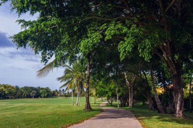 Tropik cennet. Yeşil bir tropikal orman. Tropikal parktaki patika - soyut seyahat arkaplanı.