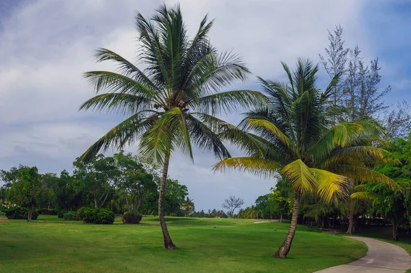 Tropical Paradise Dominican Republic Seychelles Caribbean Mauritius Philippines Bahamas Green — Stock Photo, Image