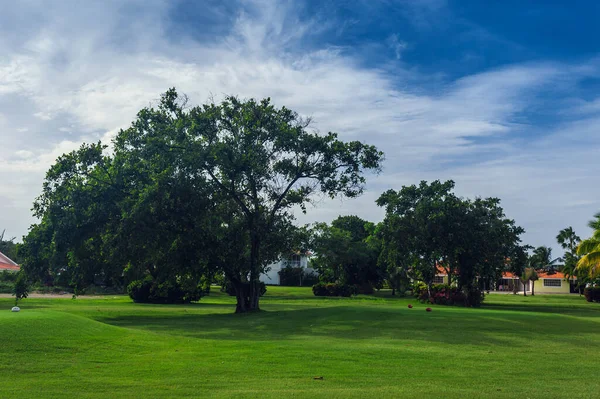 Tropisch Paradijs Dominicaanse Republiek Seychellen Caribisch Gebied Mauritius Filippijnen Bahama — Stockfoto