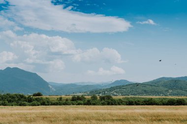 Arka planda dağlar olan çayır