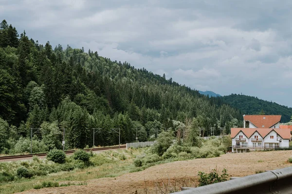 Camino Verano Montañas Cubiertas Árboles — Foto de Stock