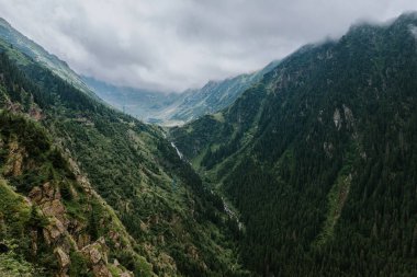 Yeşil dağların yüksek açılı manzarası