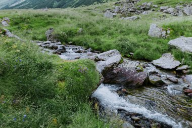Vahşi dağ nehri manzaralı görüntü