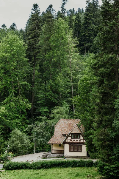 青翠美丽的高原上的房子 — 图库照片