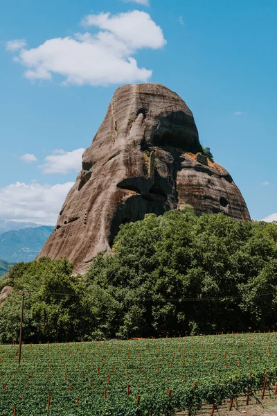 Rock Green Trees Field — Stock Photo, Image