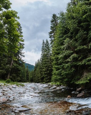 Yüksek dağlarla, güzel kıvrımlı nehirlerle, yeşil ormanlarla, bulutlu mavi gökyüzüyle ve yaz parkında sarı güneş ışığıyla muhteşem bir manzara. Dağ vadisi. Avrupa 'ya seyahat. Doğa