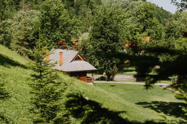 Kırsal alanda yemyeşil tarlalar ve çiftlik evleri var.