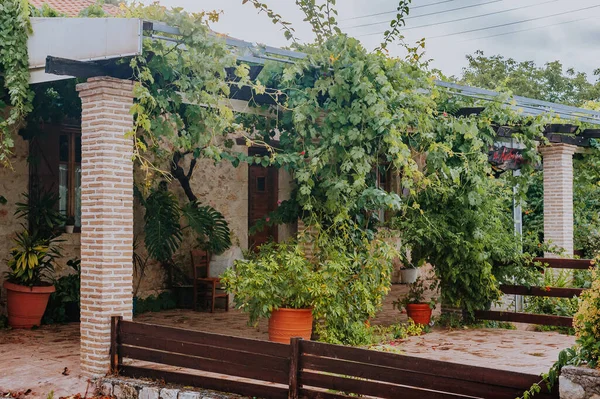 Casa Rural Piedra Seca Con Olivos Grecia — Foto de Stock