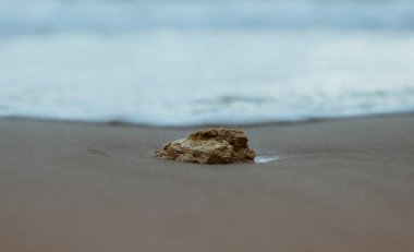 Sahilde su, kum ve kayalarla kaplı bir manzara.