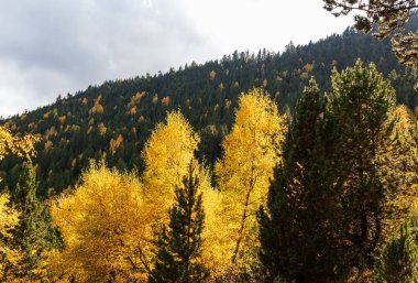 Gün boyunca bulutlarla çevrili dağların manzarası