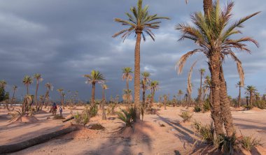 Hurma ağaçlarıyla ve bulutlu gökyüzüyle.