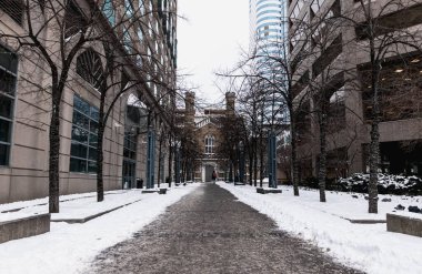 Toronto 'da kar yağışlı kış