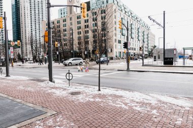 Toronto 'da kar yağışlı kış