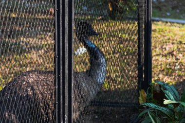 Kuala Lumpur egzotik kuş bakım merkezi