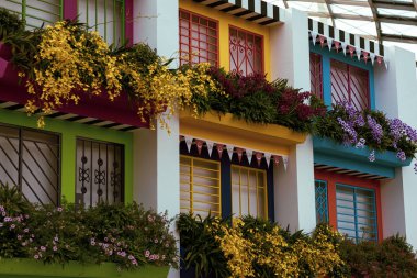 Çevrede korunmuş egzotik bitkiler ve çiçekler