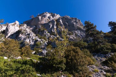 Doğadaki dağ manzarası