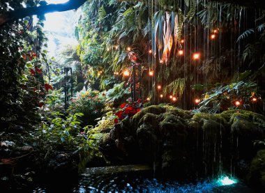 Bitkilerle çevrili yapay su şelalesi