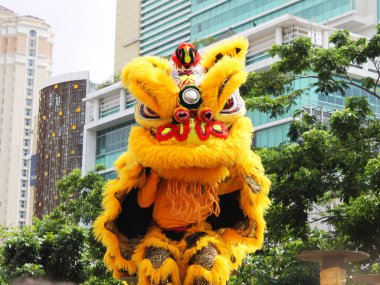 Barongsai veya Ejderha Dansı