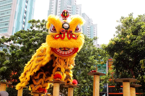 Barongsai veya Ejderha Dansı