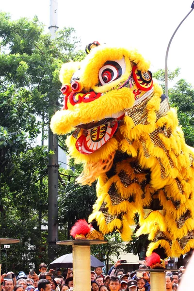Barongsai veya Ejderha Dansı