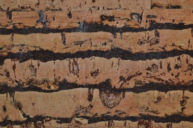 arkaplan desenli ahşap kalıp