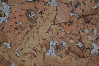 arka plan makro desenli kork rengi