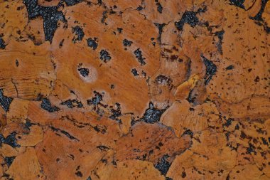 arka plan makro desenli kork rengi