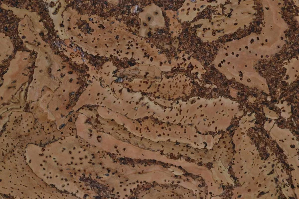 arka plan makro desenli kork rengi