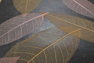 arkaplan desenli şifalı bitki rengi