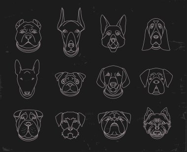 Popüler doğurmak-in köpek. 12 doğrusal simgeler siyah izole