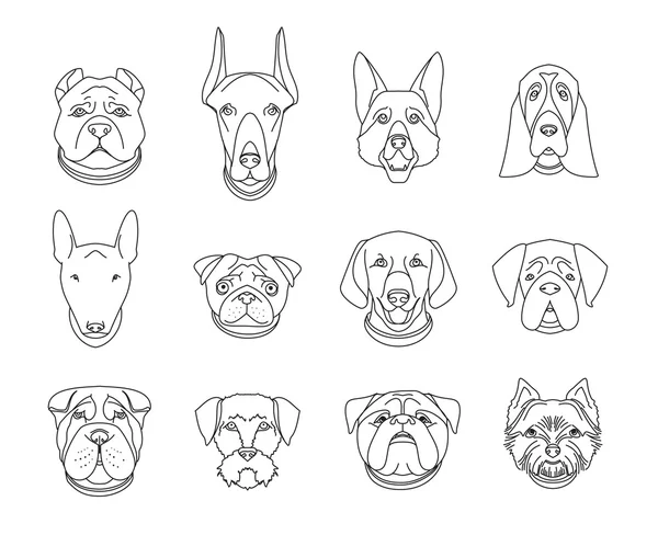 Races populaires de chiens. 12 icônes linéaires isolées sur blanc — Image vectorielle