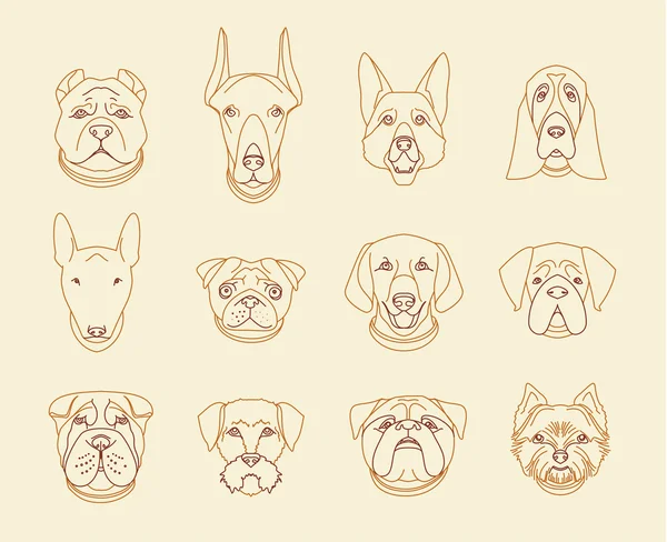 Razas populares de perros. 12 iconos lineales aislados — Vector de stock