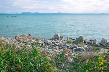 Deniz kıyısındaki yemyeşil bitki örtüsü ve taşlar. Güneşli bir yaz gününde sakin bir deniz..