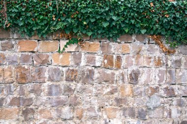 Antik duvarın duvarları düzenli şekilli taş bloklardan oluşur.