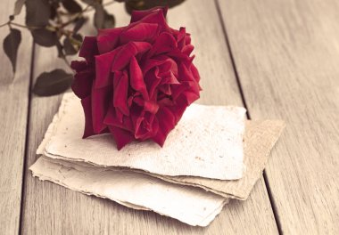 Red Rose on book