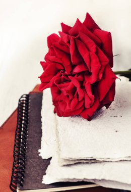 Red Rose on book