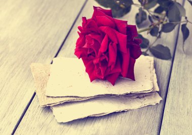 Red Rose on book