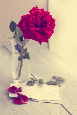 Red Rose on book