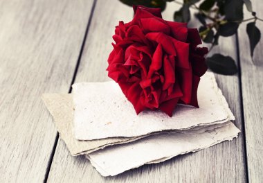 Red Rose on book