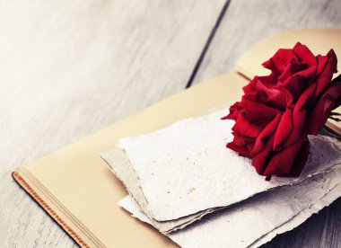Red Rose on book