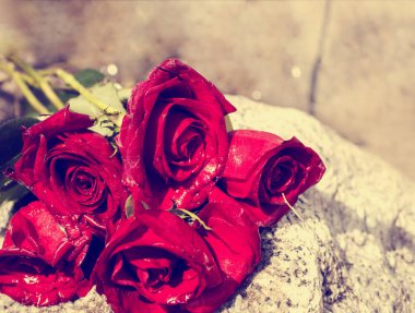 taş üzerinde kırmızı gül 