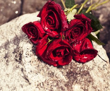 taş üzerinde kırmızı gül 