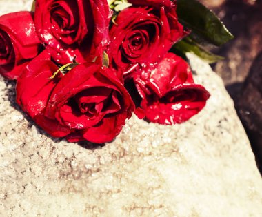 taş üzerinde kırmızı gül 