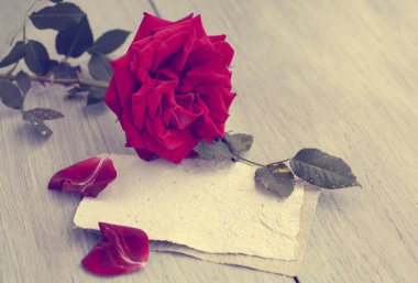 Red Rose on book